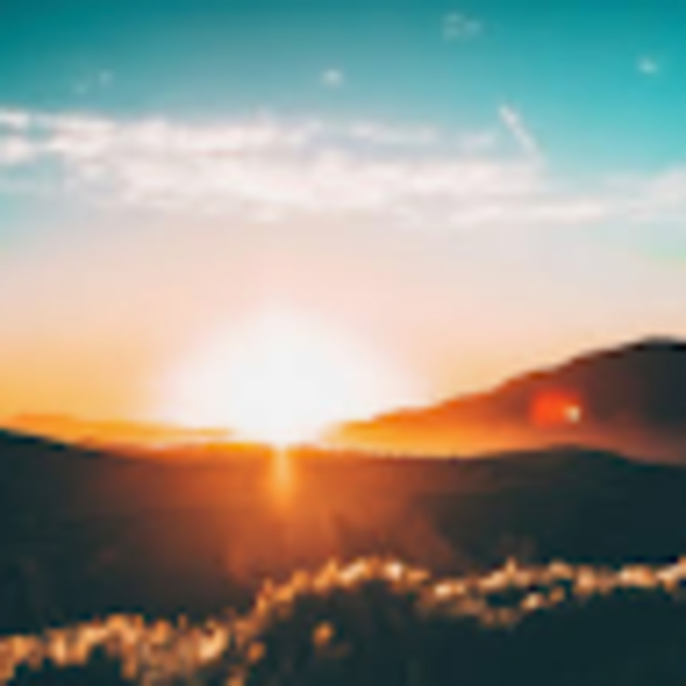 Meet your Posher, Abigail